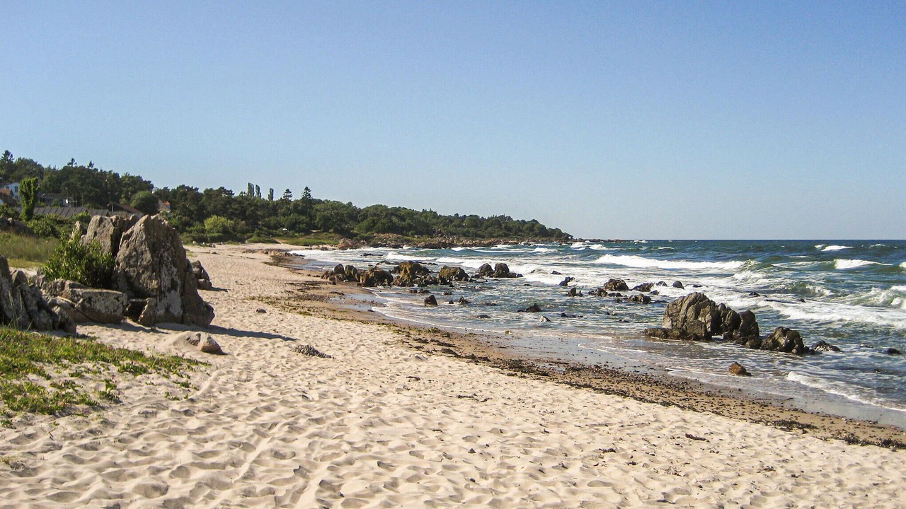 Photo of Others in Sandkaas