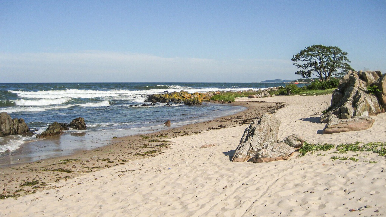 Photo of Others in Sandkaas