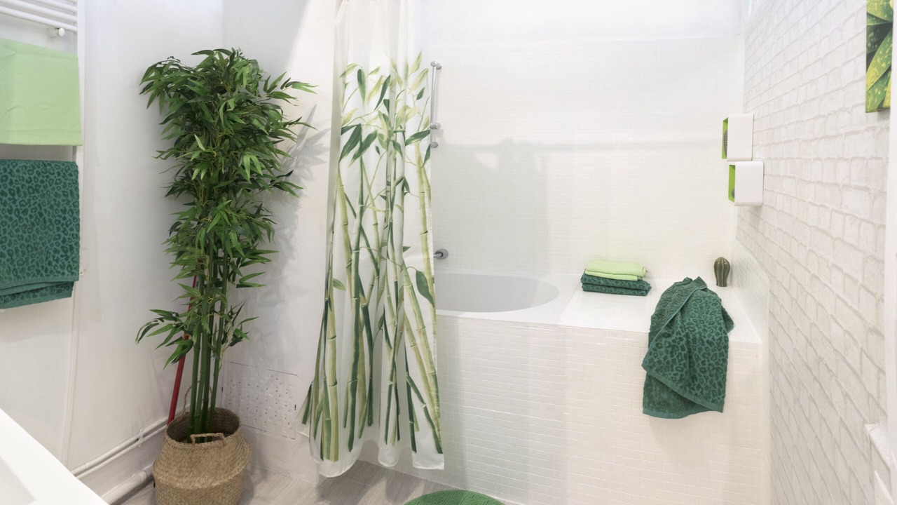 Photo of Bathroom in Opera