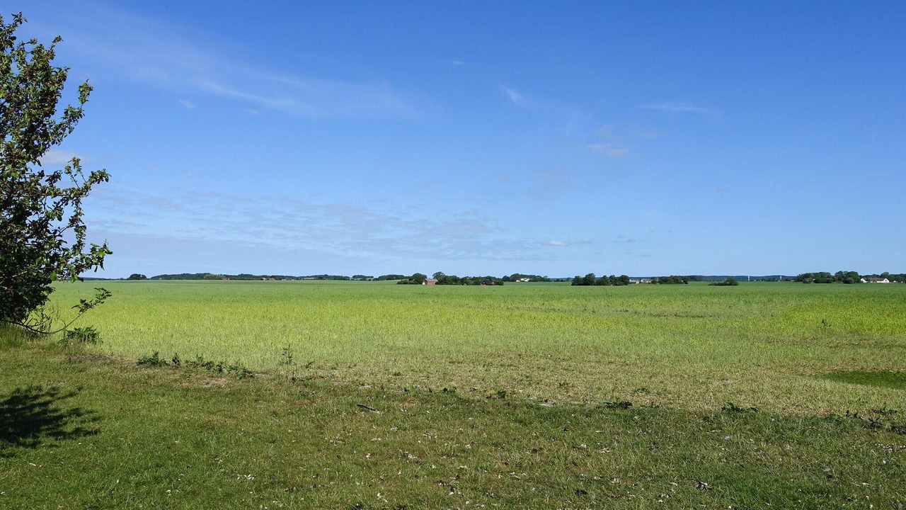 Photo of Others in Dueodde