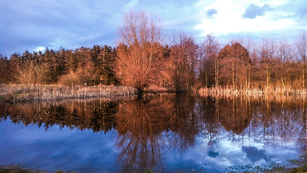 Photo of Others in Dueodde