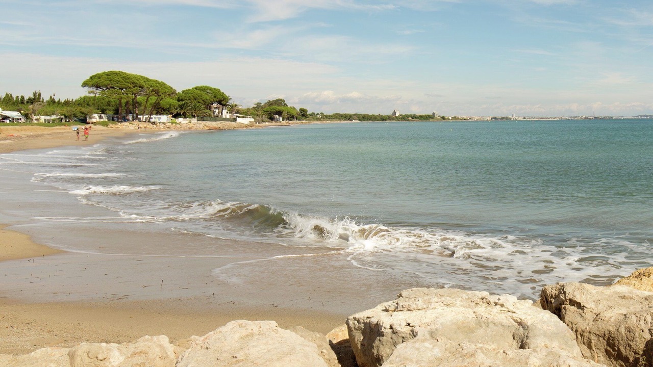 Photo of Others in Mont-roig Bahia
