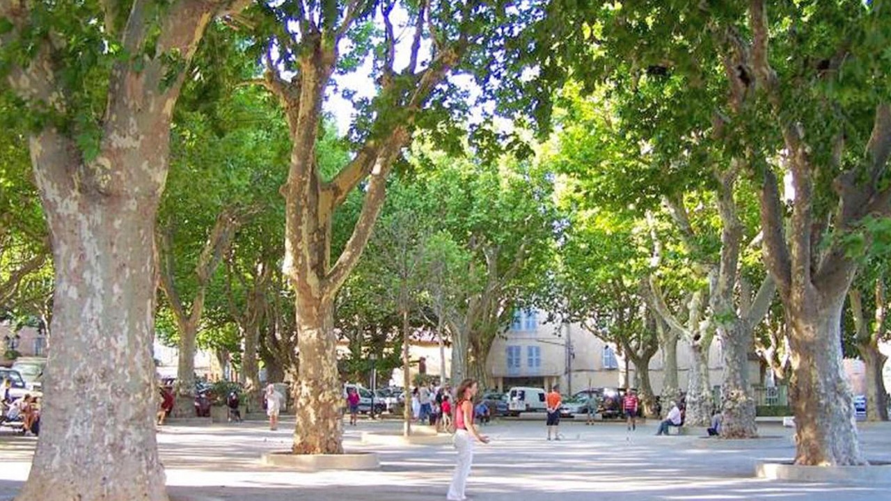 Photo of Others in Massebœuf