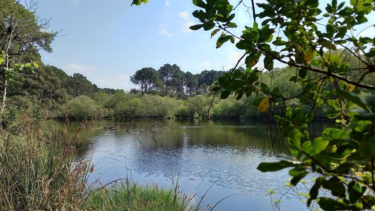 Photo of Others in Moliets-et-Maa