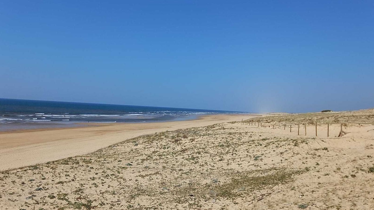 Photo of Others in Moliets-et-Maa