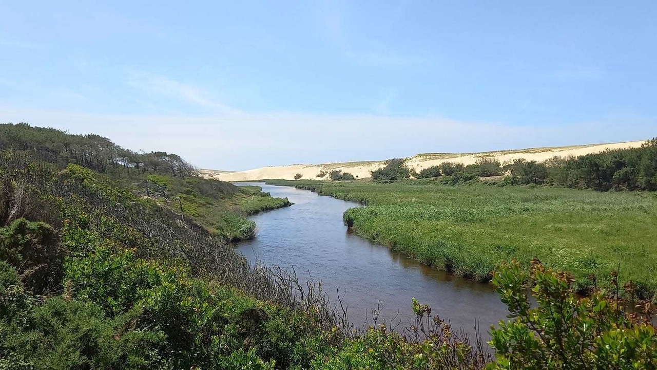 Photo of Others in Moliets-et-Maa