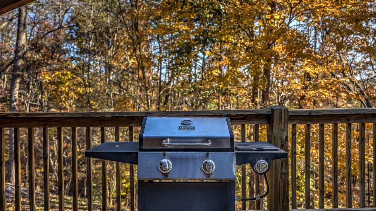 Photo of Outdoor in East Ellijay