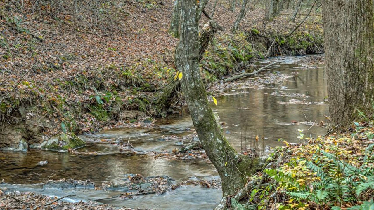 Photo of Outdoor in East Ellijay