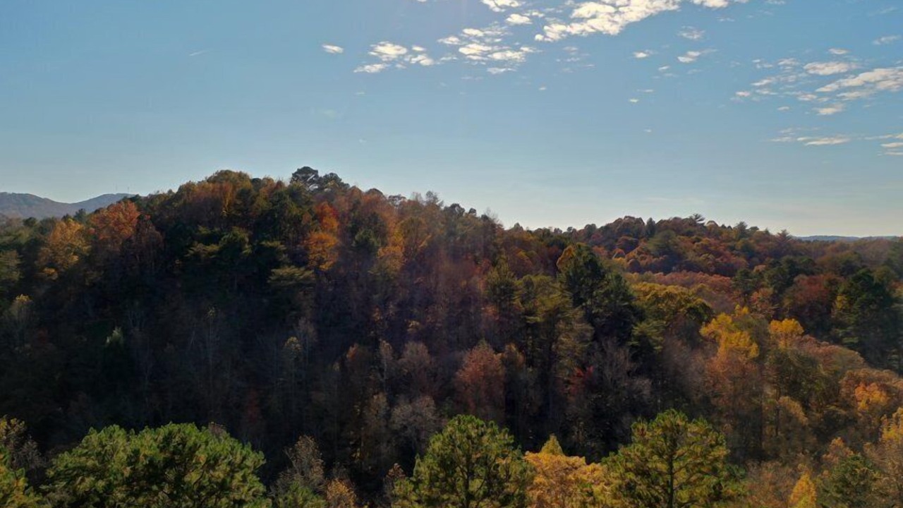 Photo of Outdoor in East Ellijay