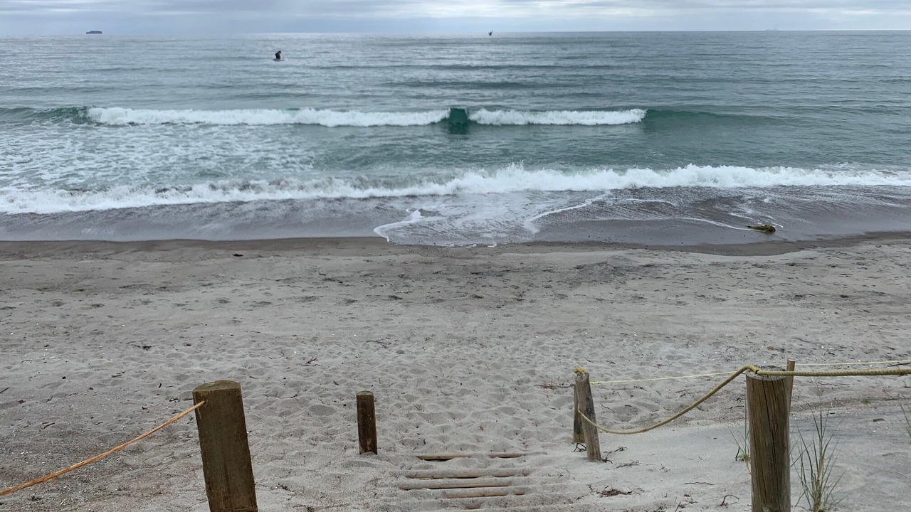 Photo of Others in Pukehina