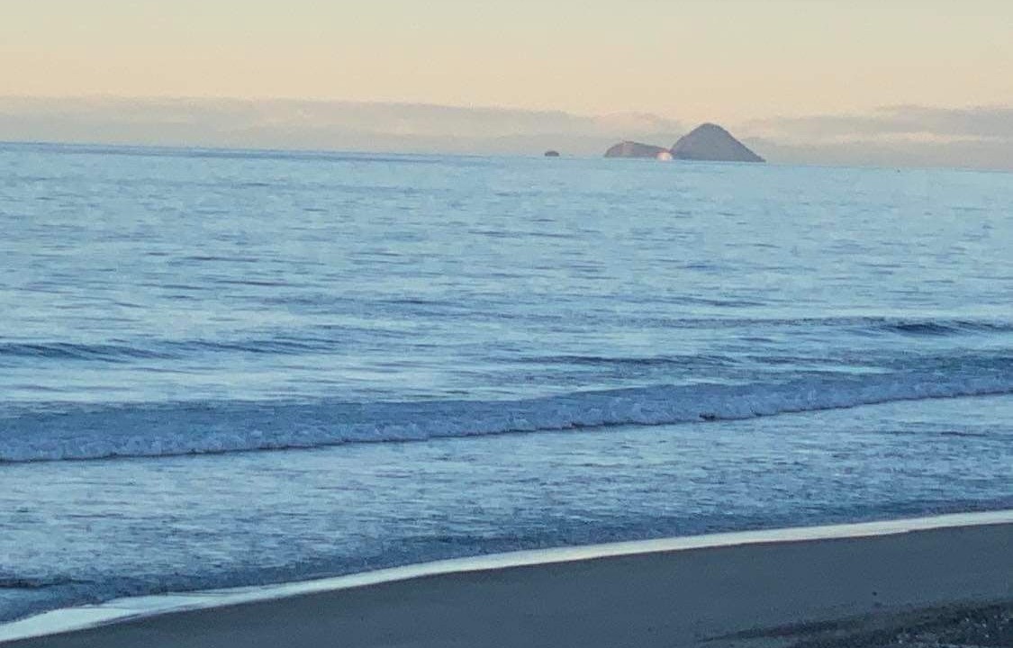 Photo of Others in Pukehina