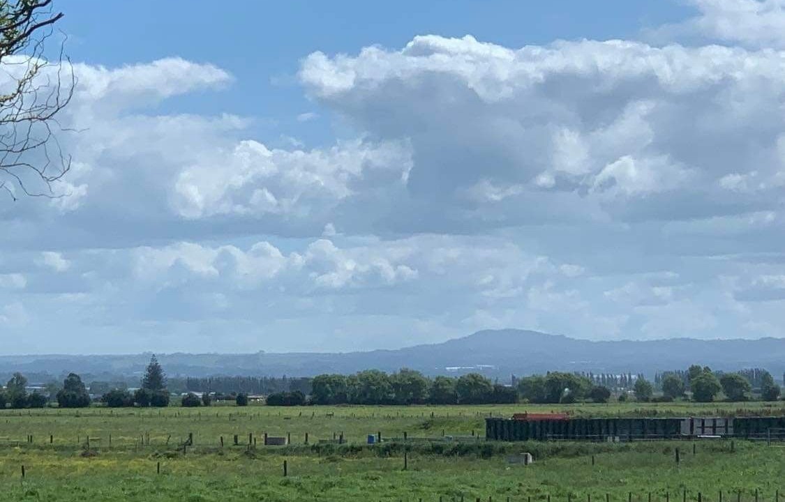 Photo of Outdoor in Pukehina