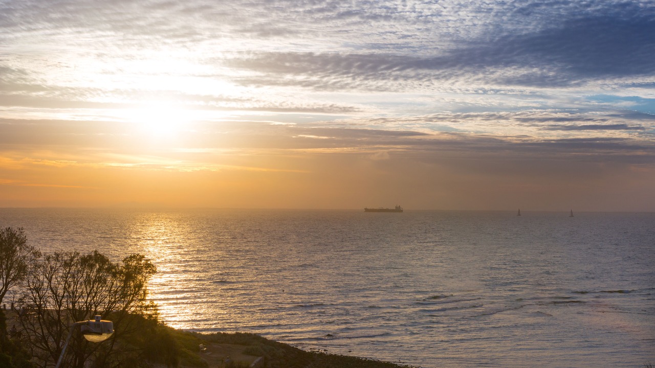 Photo of Others in Brighton