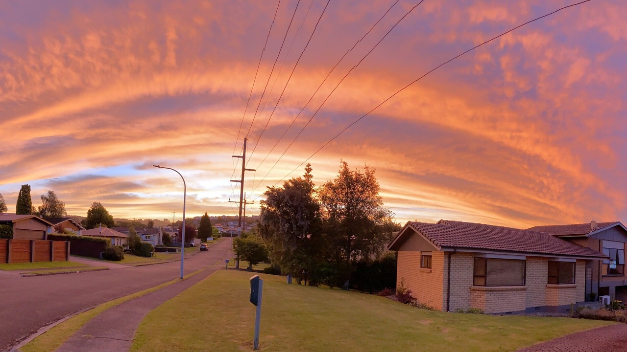 Photo of Others in Rotorua