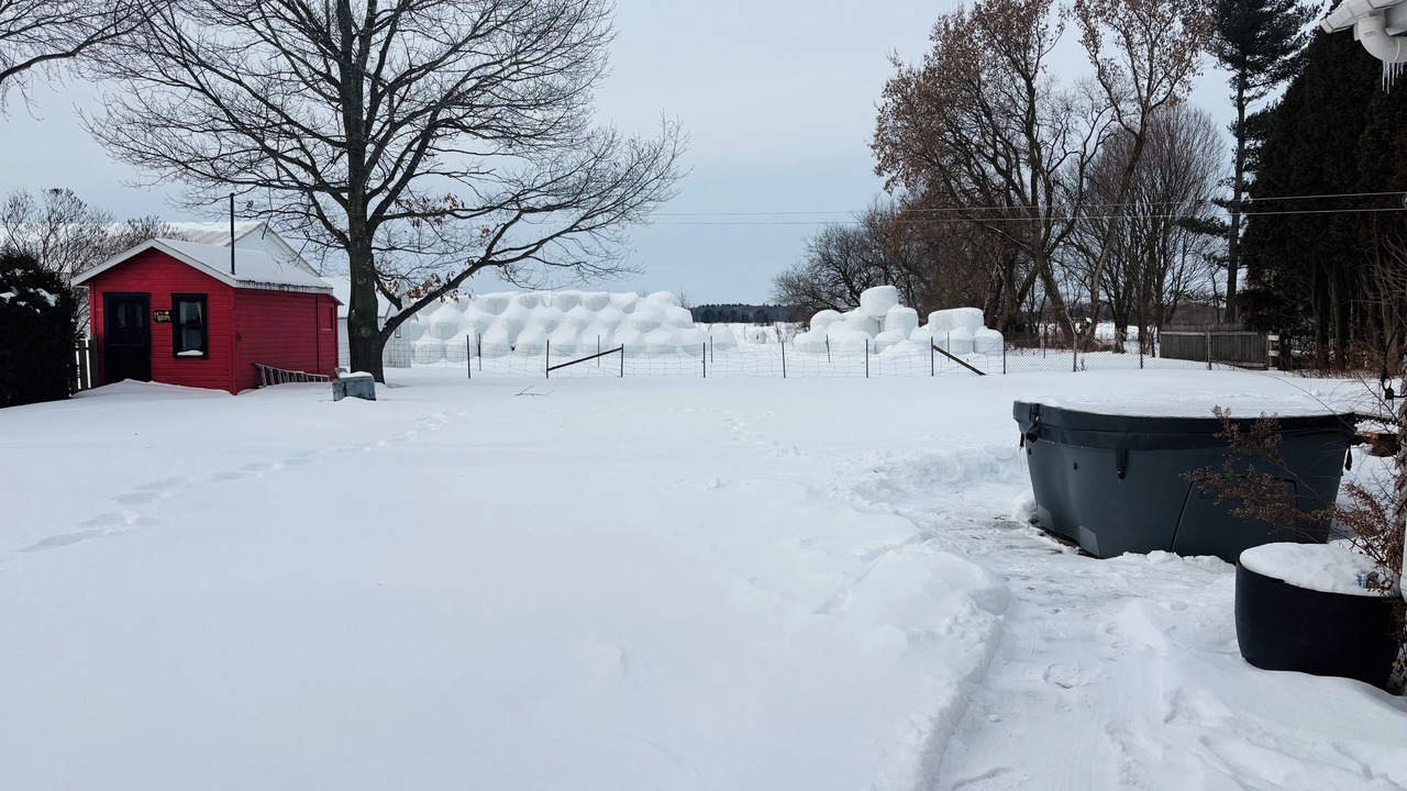 Photo of Outdoor in Batiscan
