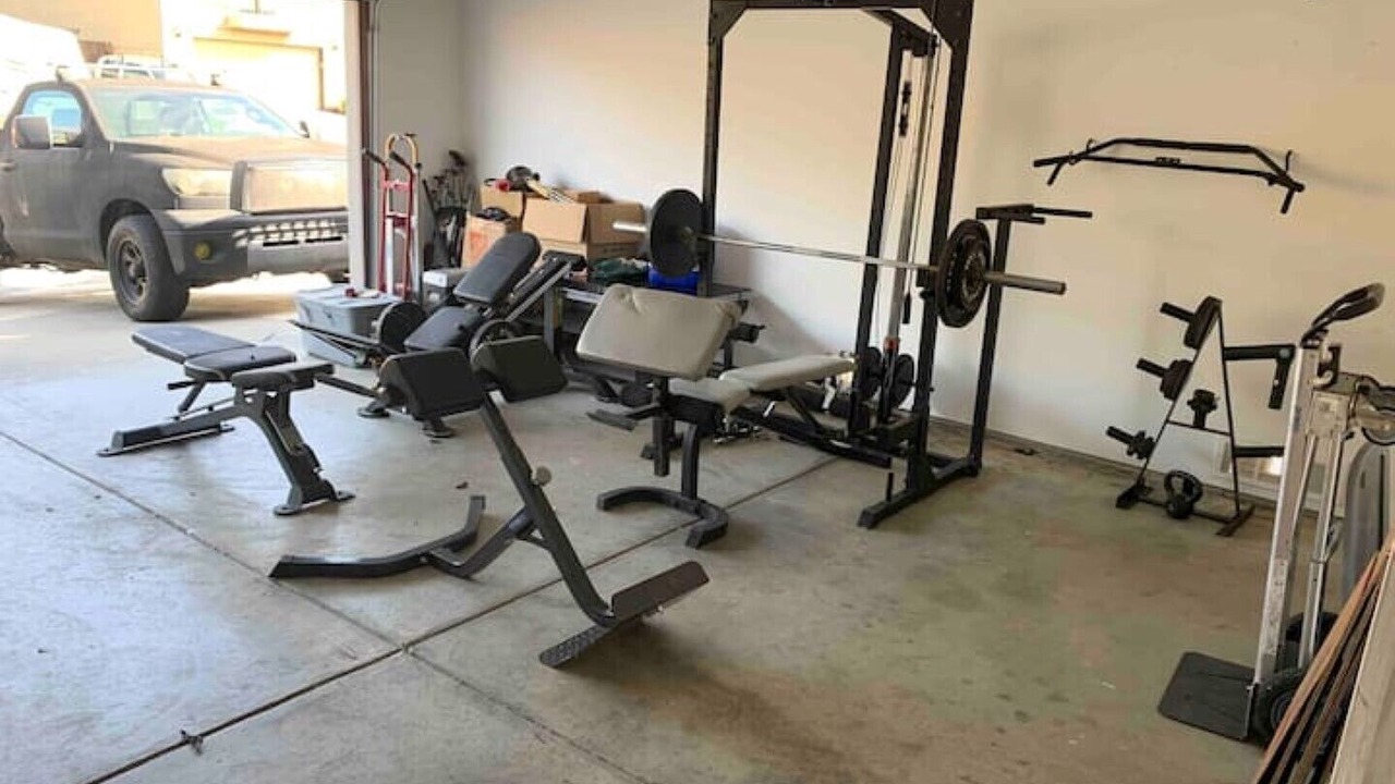 Photo of Others in Nut Tree