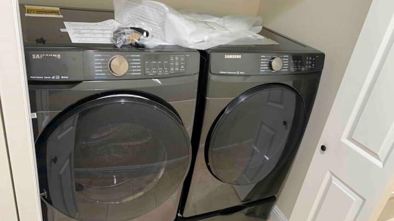 Photo of Others in Nut Tree