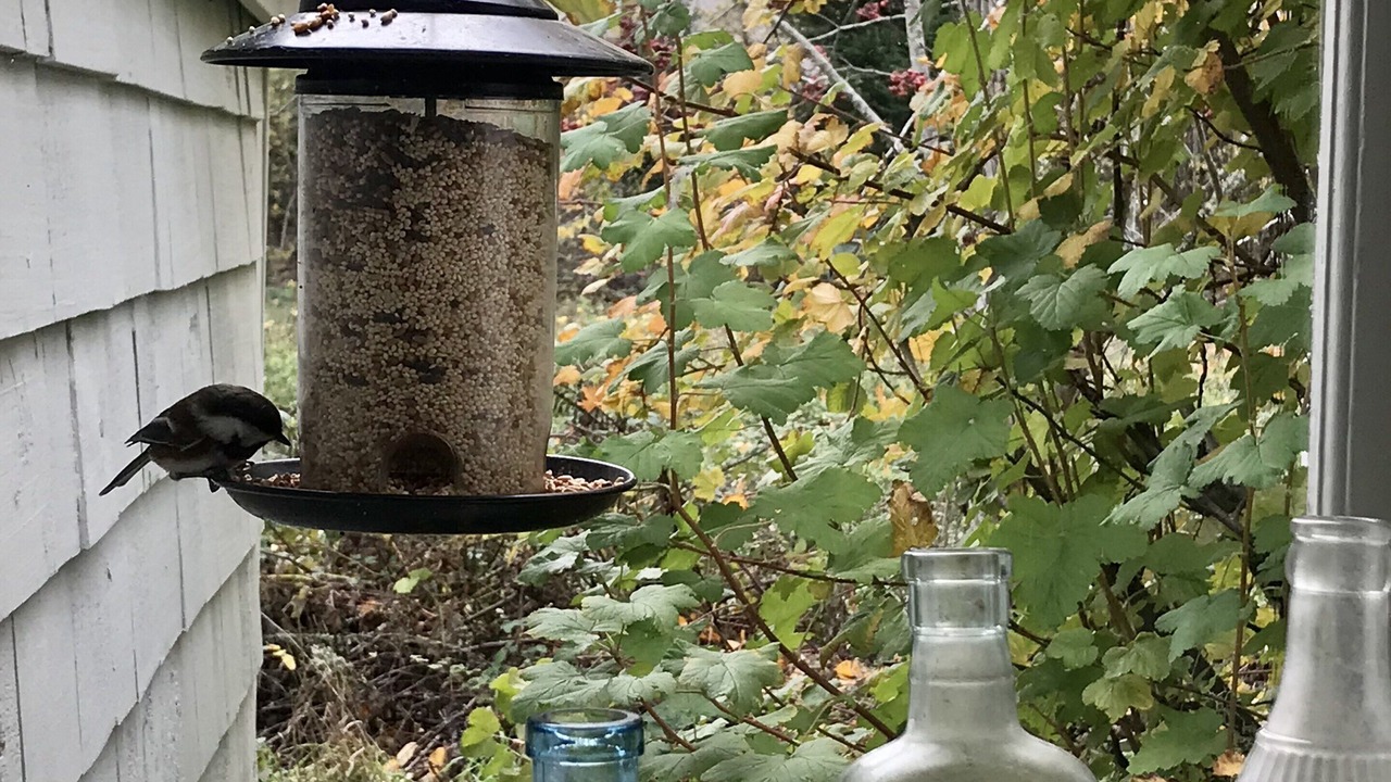 Photo of Others in Vashon Island