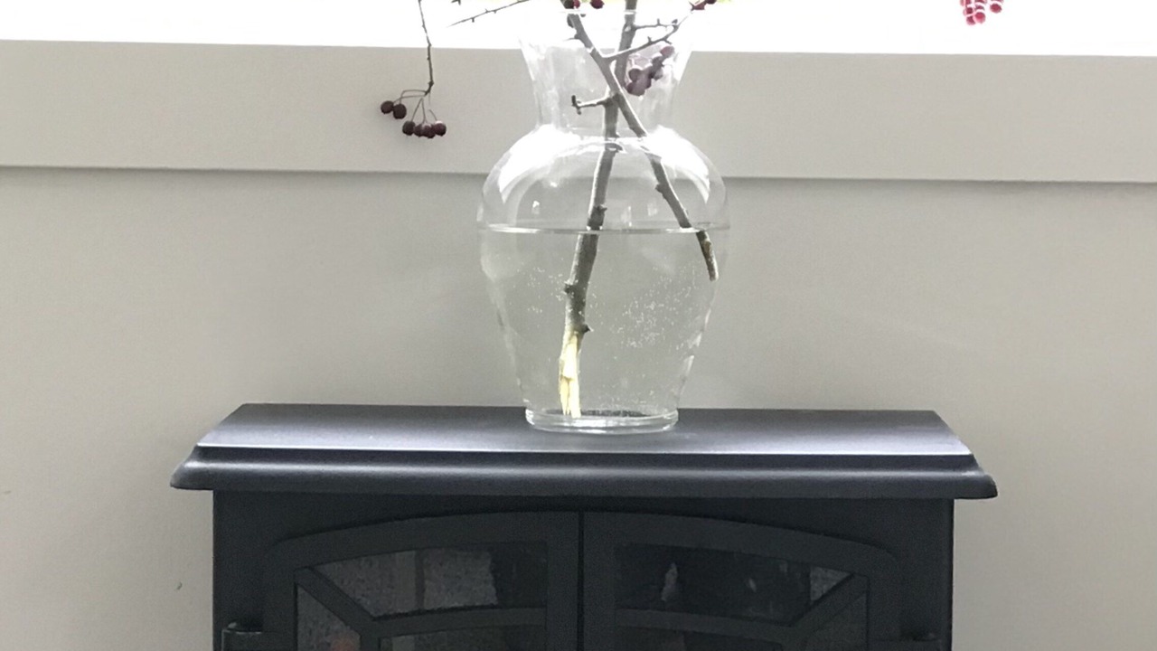 Photo of Others in Vashon Island