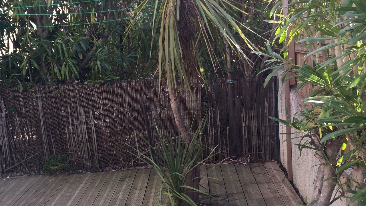 Photo of Outdoor in Sainte-Marie-Plage