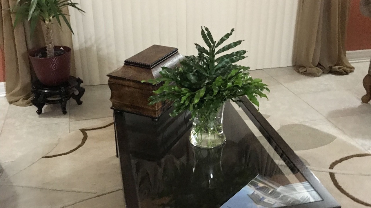 Photo of Others in Lauderhill