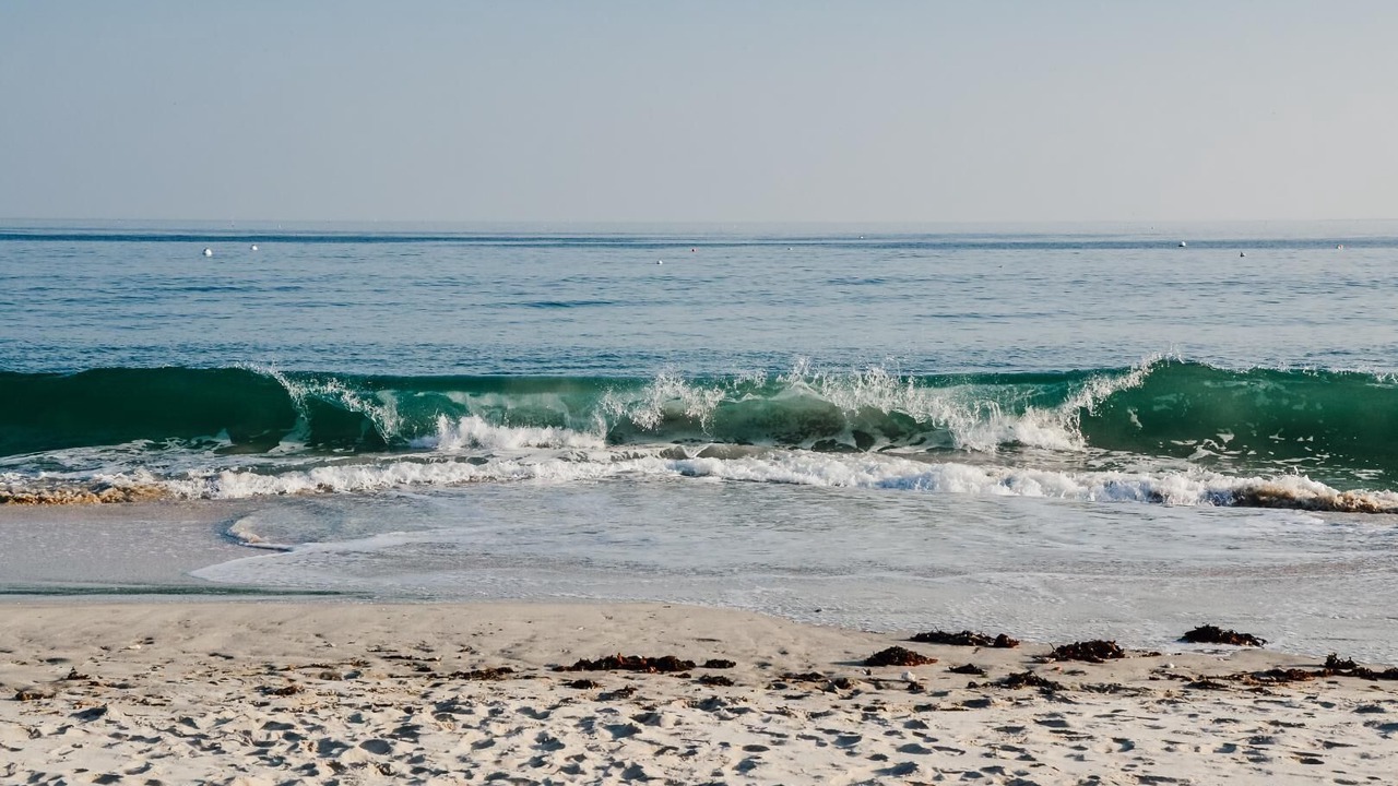 Photo of Others in Crach