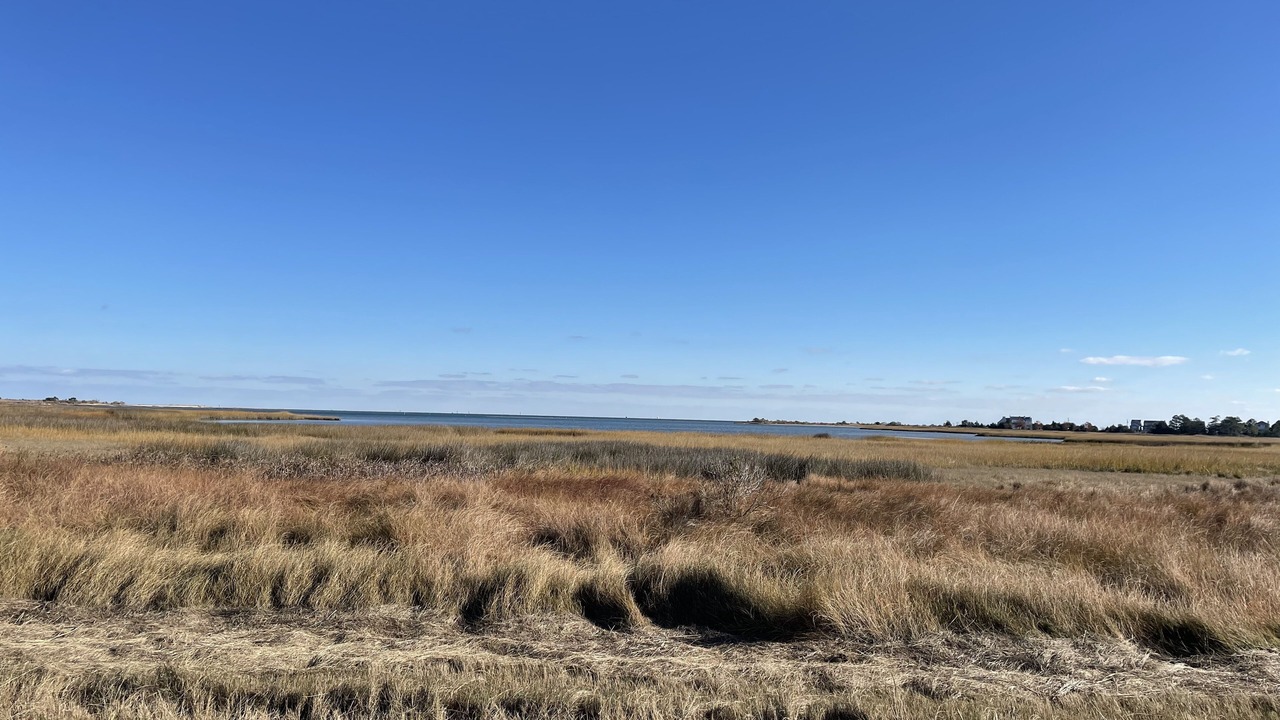 Photo of Others in New Point