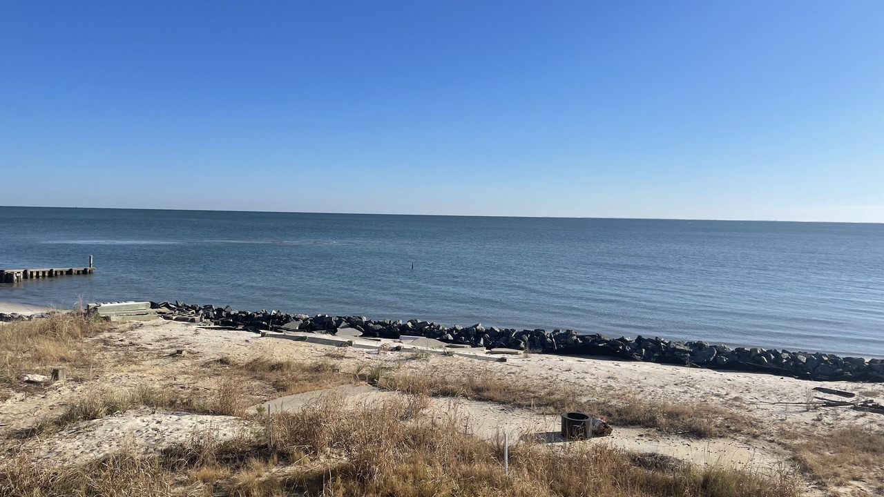Photo of Others in New Point