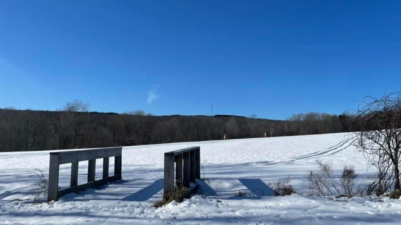 Photo of Others in Cherry Creek