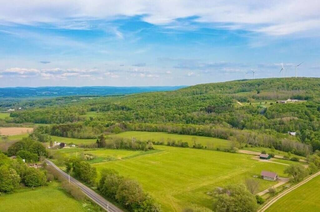 Photo of Outdoor in Cherry Creek