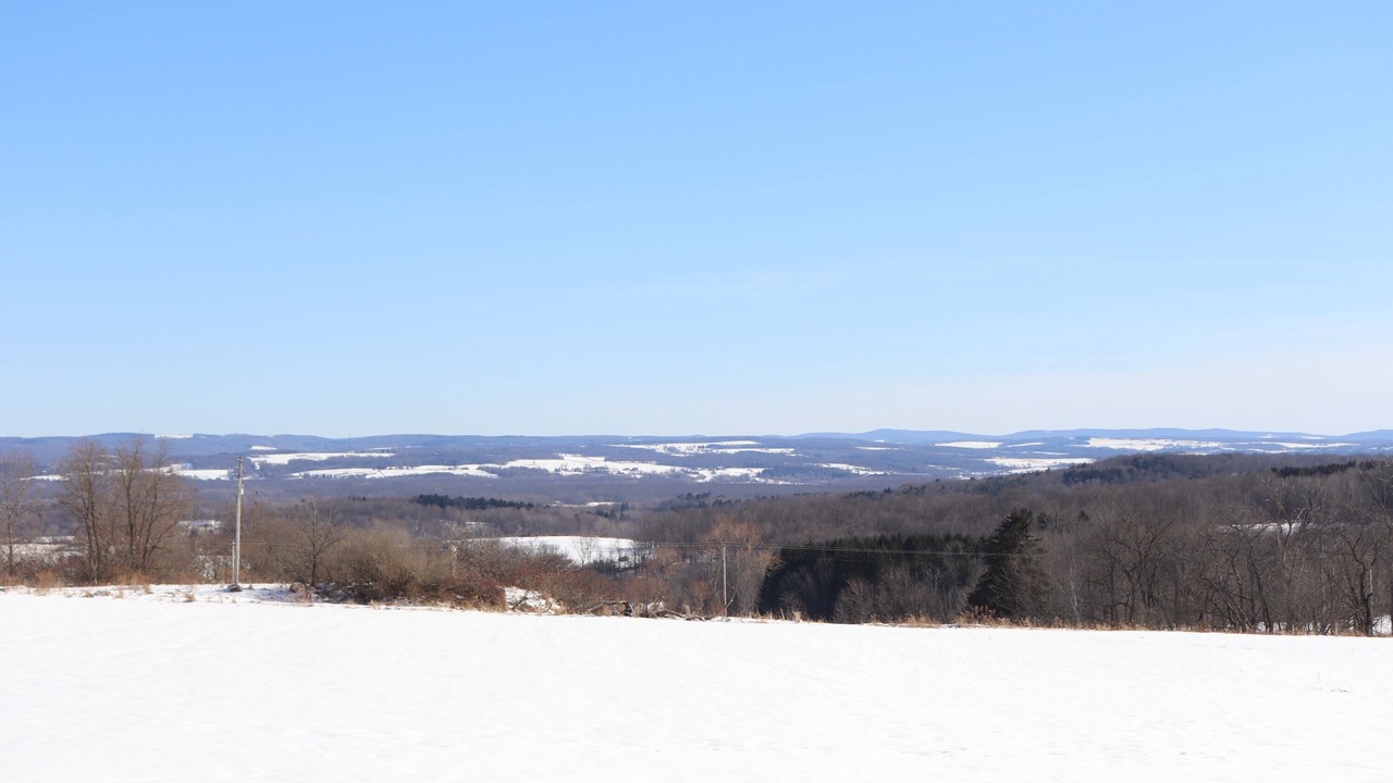 Photo of Others in Cherry Creek