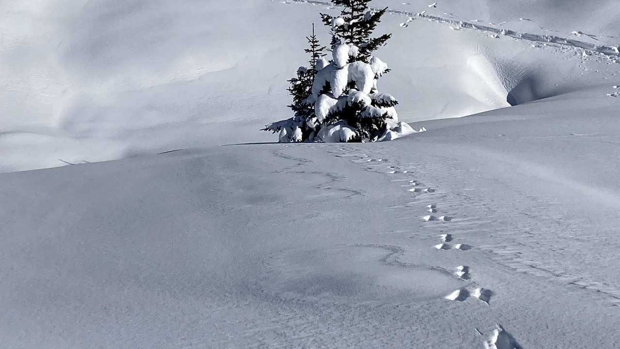 Photo of Others in Vaujany