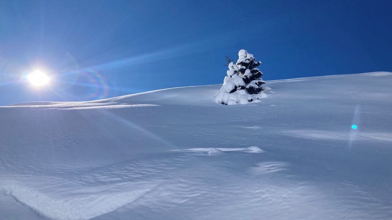 Photo of Others in Vaujany