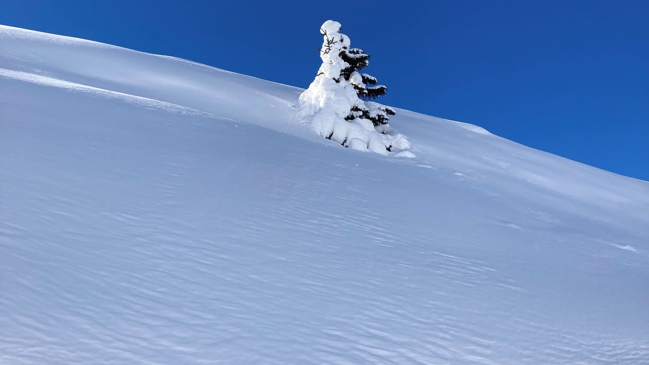 Photo of Others in Vaujany