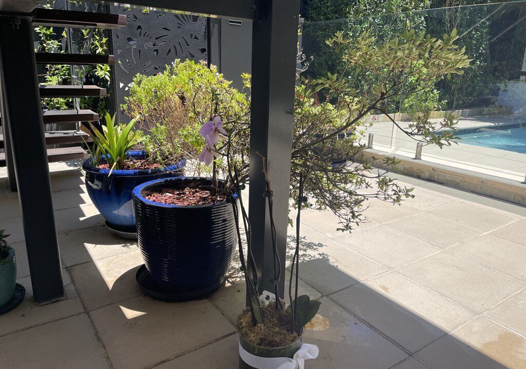 Photo of Others in Freshwater