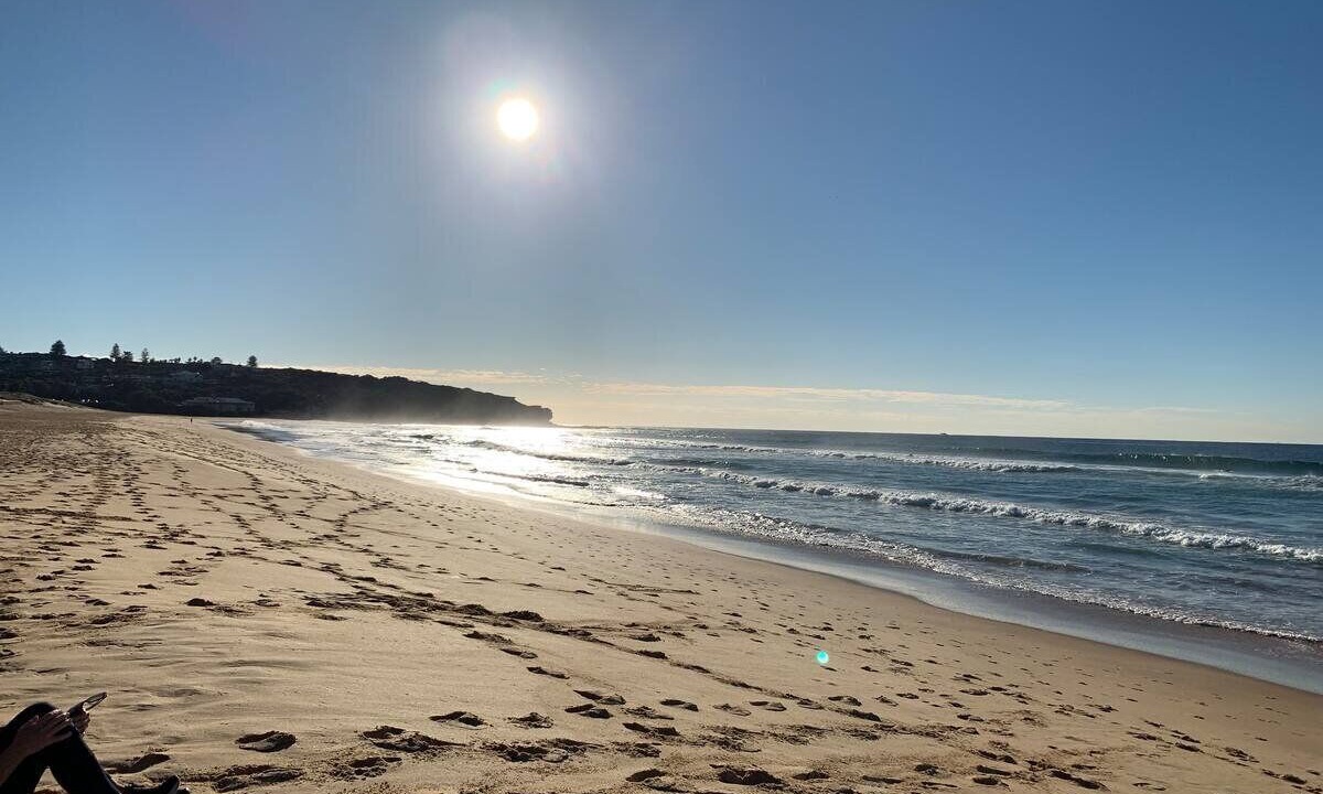 Photo of Others in Freshwater