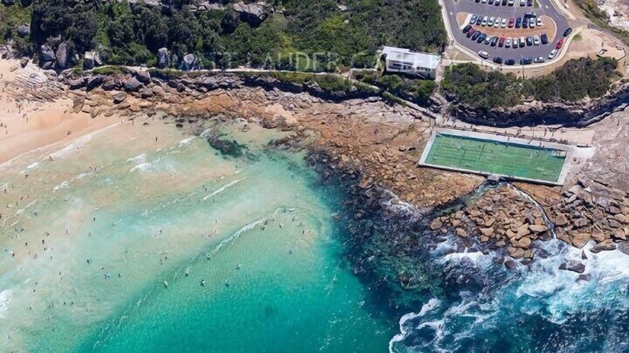 Photo of Others in Freshwater