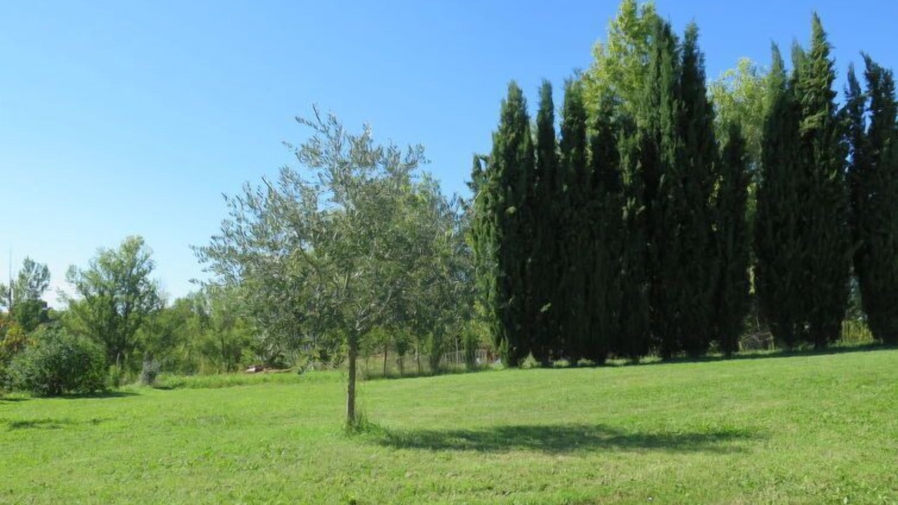 Photo of Outdoor in Dondas