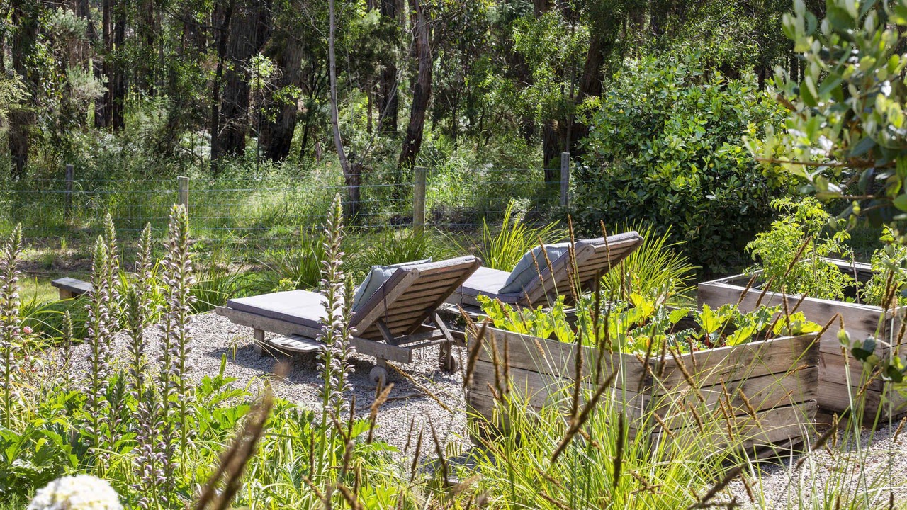 Photo of Outdoor in Red Hill