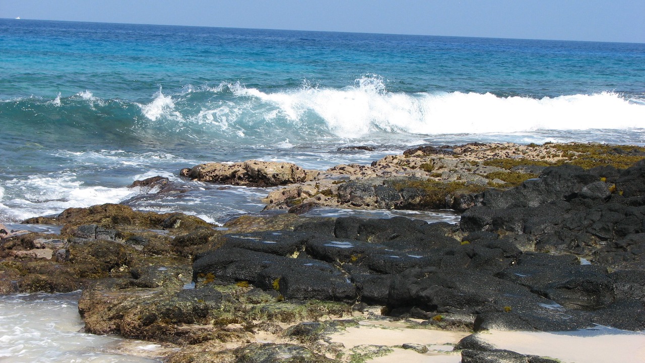 Photo of Others in Keauhou