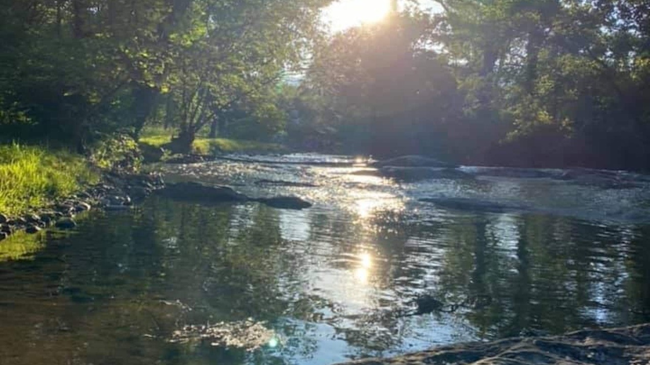 Photo of Outdoor in Haywood