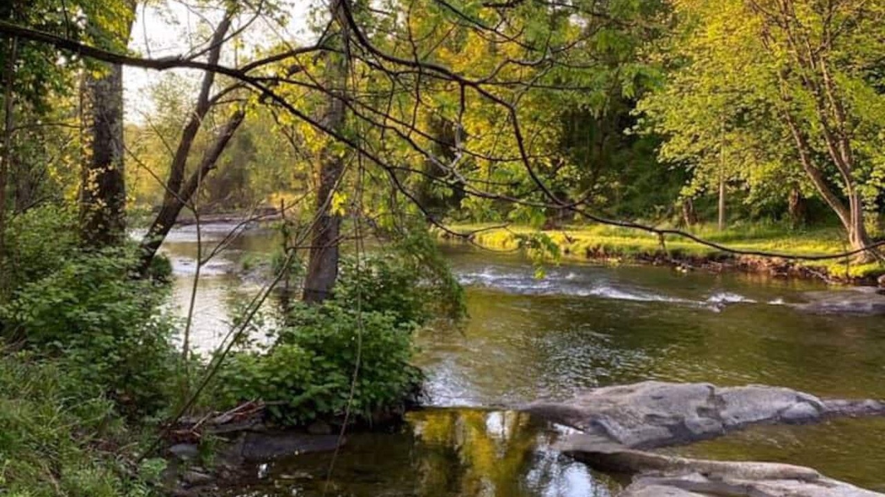 Photo of Outdoor in Haywood