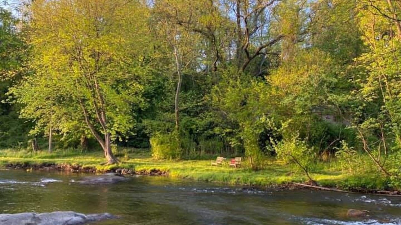 Photo of Outdoor in Haywood
