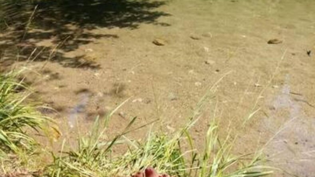 Photo of Outdoor in Burzet