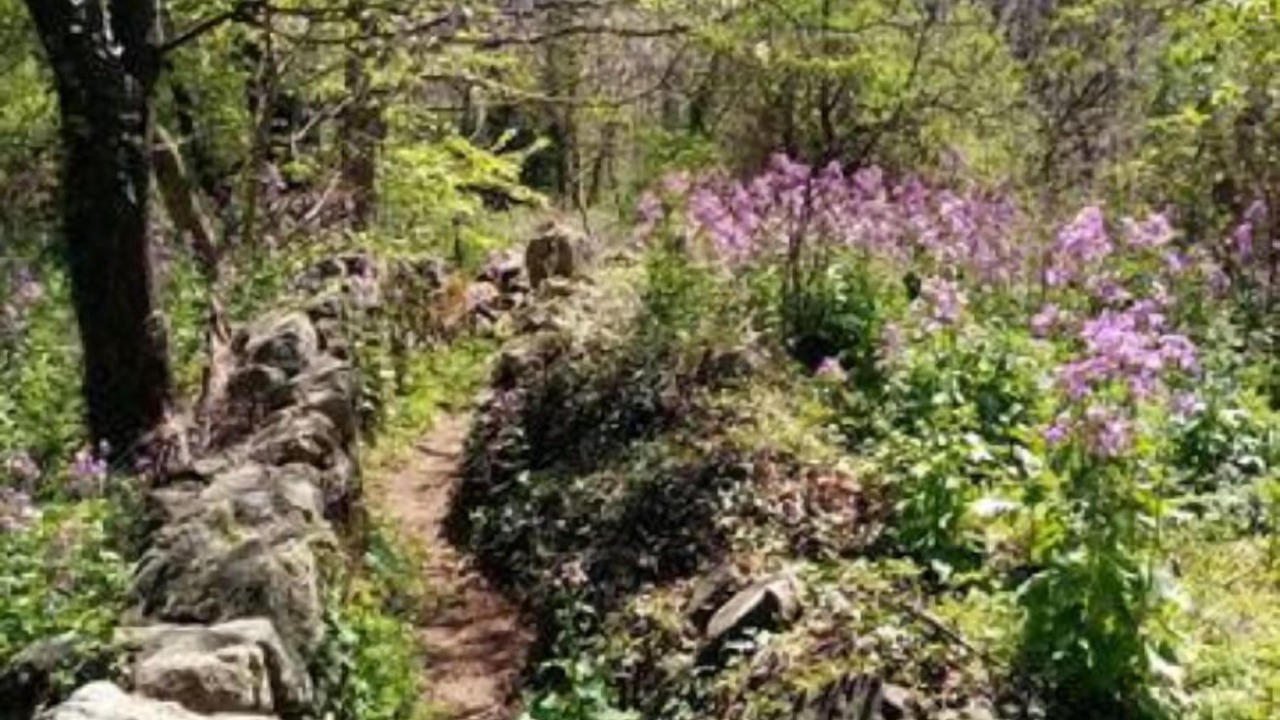 Photo of Outdoor in Burzet