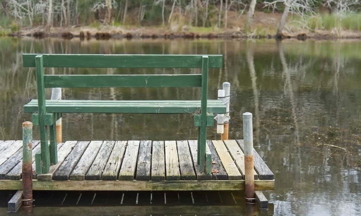 Photo of Others in Lake Conjola