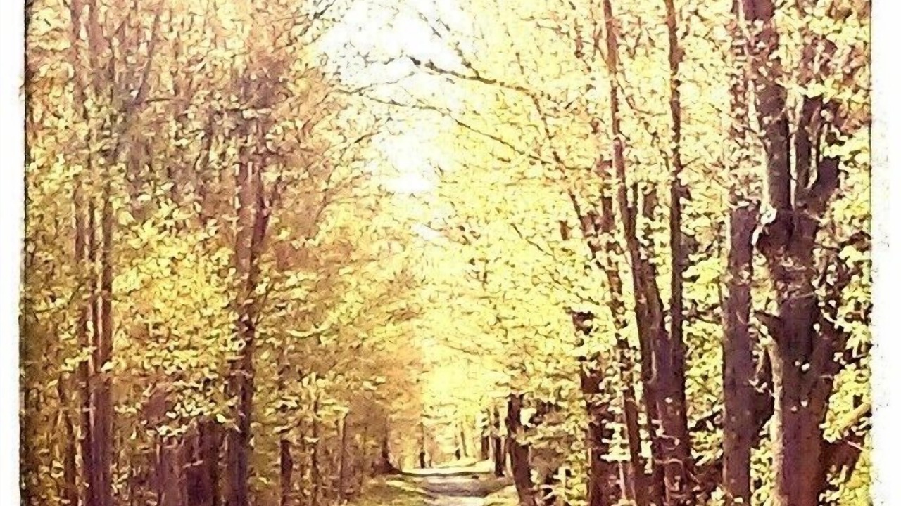 Photo of Outdoor in Howe Island