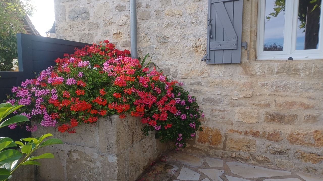 Photo of Outdoor in Cuzance