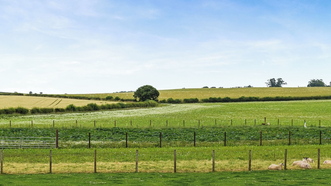 Photo of Others in Duns