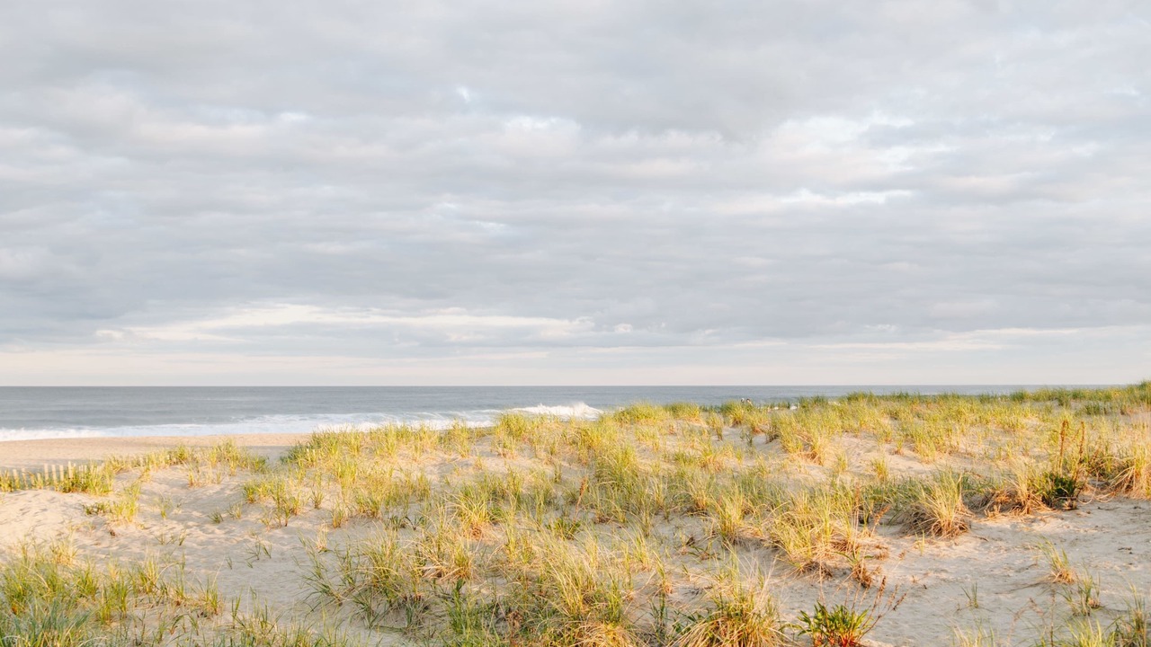 Photo of Others in Ocean Grove